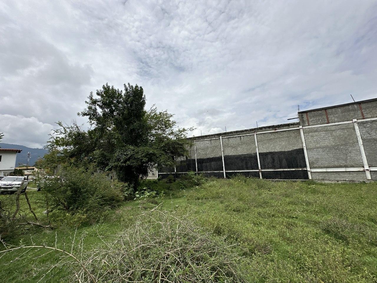 Imagen del Inmueble