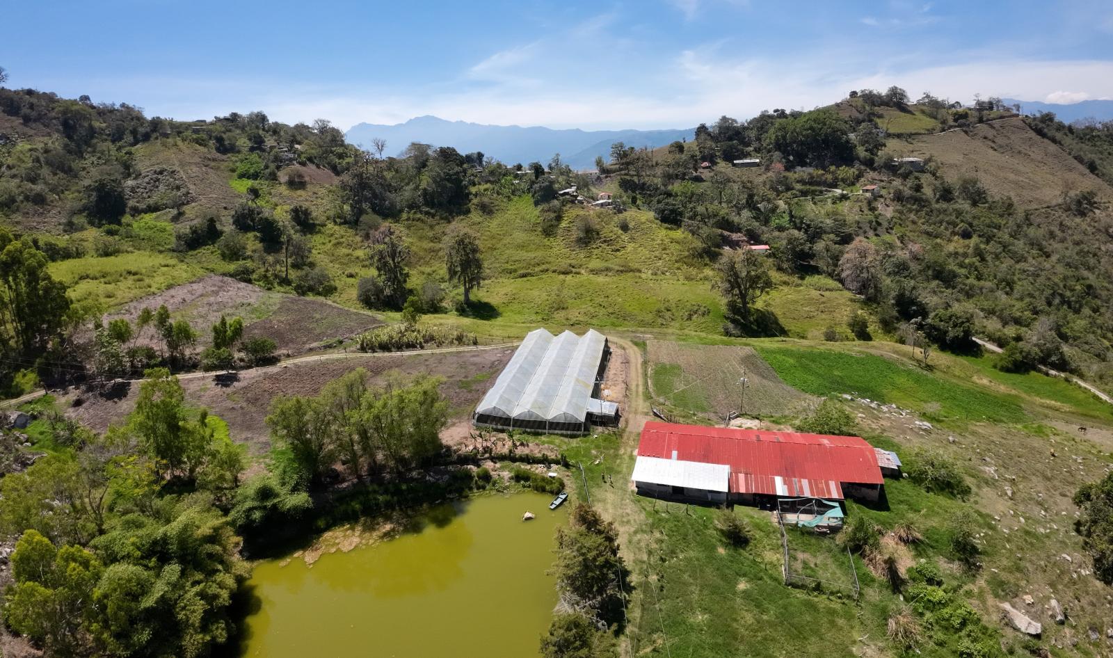 Finca en Venta -  Portachuelo - Jají - Estado Mérida